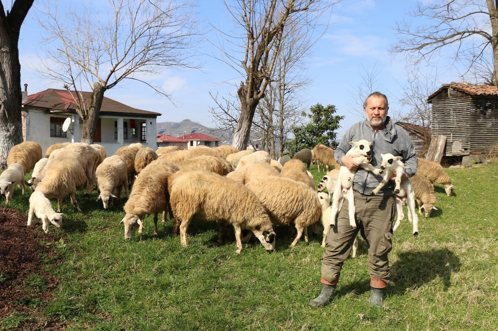 ORDU’NUN BEREKETLİ TOPRAKLARI HAYVANCILIKLA İDDİALI BİR HALE GELİYOR